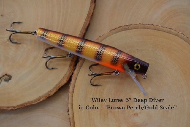 Lot #24 Wiley Lures 6 Deep Diver in Brown Perch Gold Scale (8